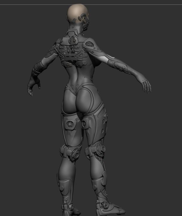 Robot Girl high poly model zbrush project and subtools 3D model 3D model_4
