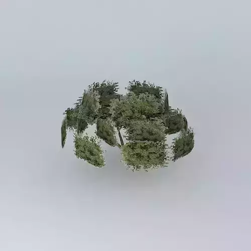 Tree large model Free 3D model