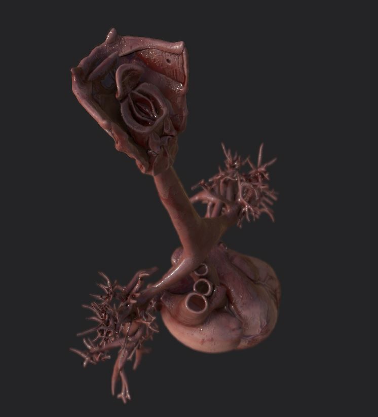 Realistic Human Heart Low-poly 3D model_4