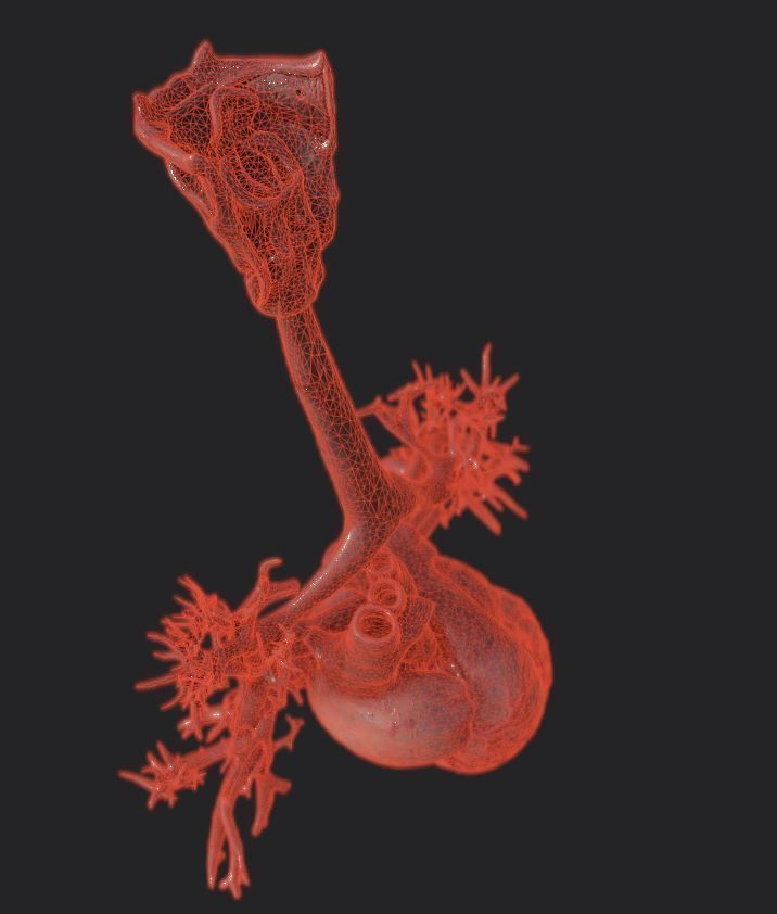 Realistic Human Heart Low-poly 3D model_9
