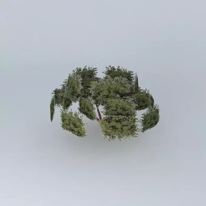 Great street minas tree Free 3D model