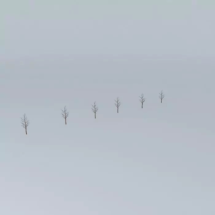 Small trees of novitta building Free 3D model