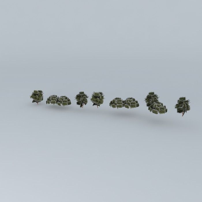 Trees on the Mall in front of cathedral Free 3D model_1