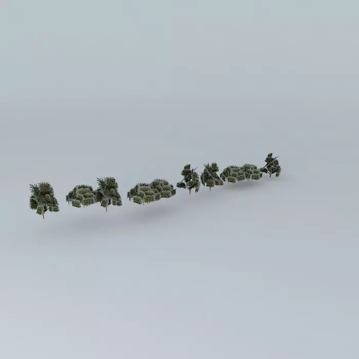 Trees on the Mall in front of cathedral Free 3D model_0