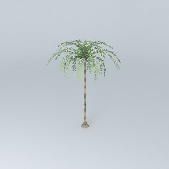 Palm trees on the plaza Free 3D model_2