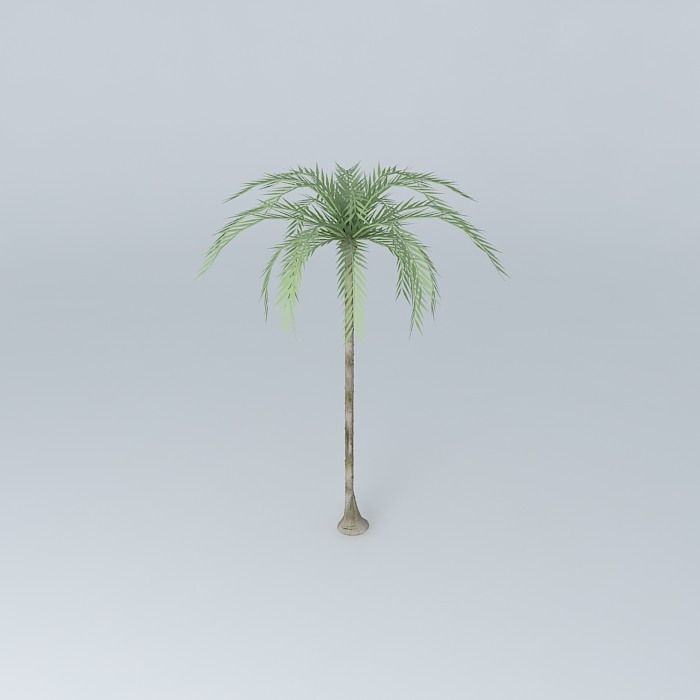 Palm trees on the plaza Free 3D model_1