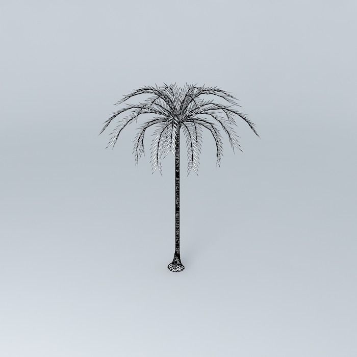 Palm trees on the plaza Free 3D model_3