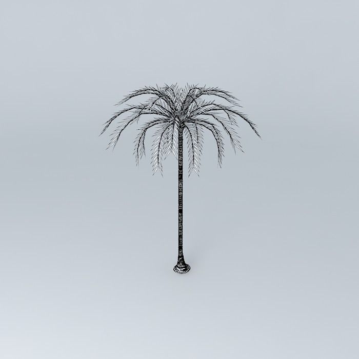 Palm trees on the plaza Free 3D model_4