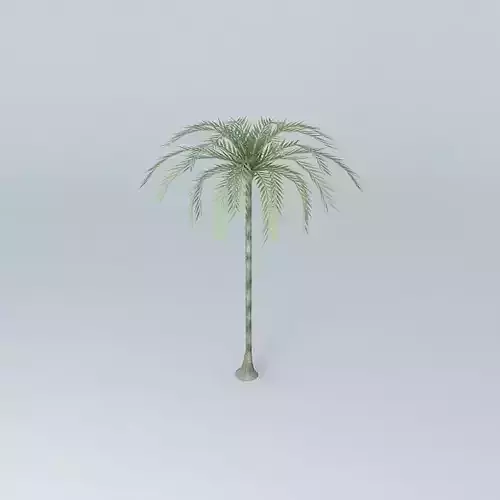 Palm trees on the plaza