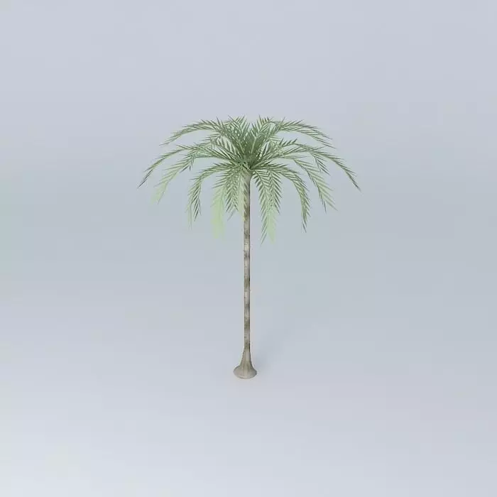 Palm trees on the plaza Free 3D model_0