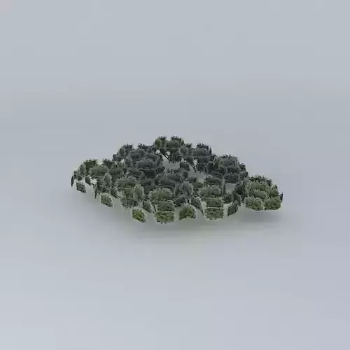 Trees of the plaza appeared ns