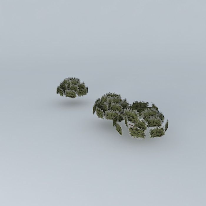 Stage of trees mane garrincha 2 Free 3D model_2