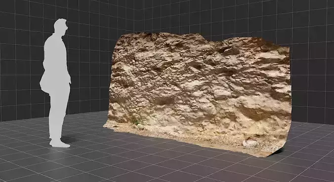 3d scanned cliff 004 Low-poly 3D model