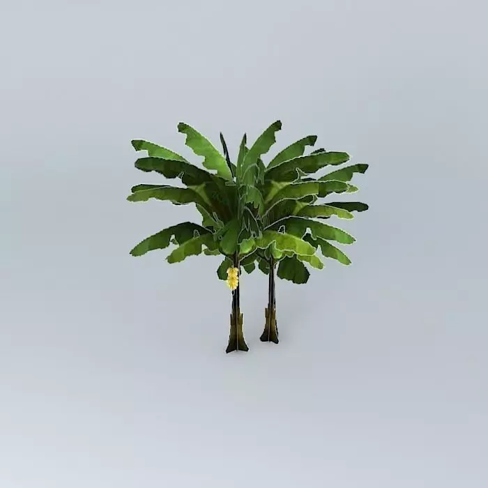 Banana model two trees Free 3D model