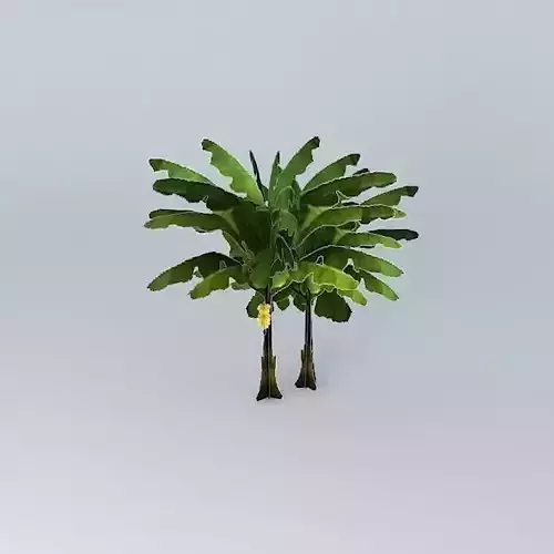 Banana model two trees