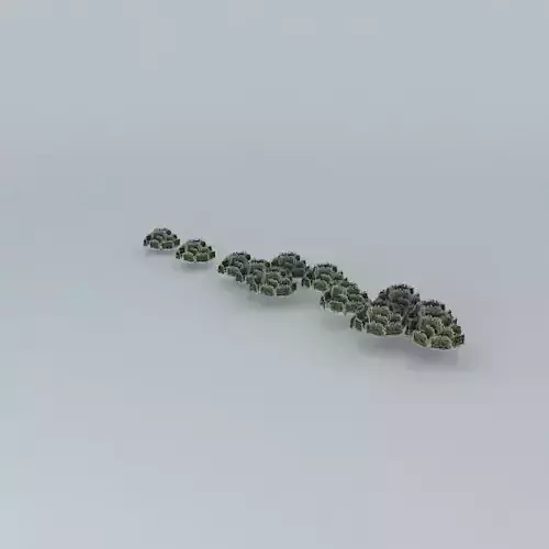 TREES IN AV RIO BRANCO