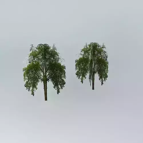 Two box trees
