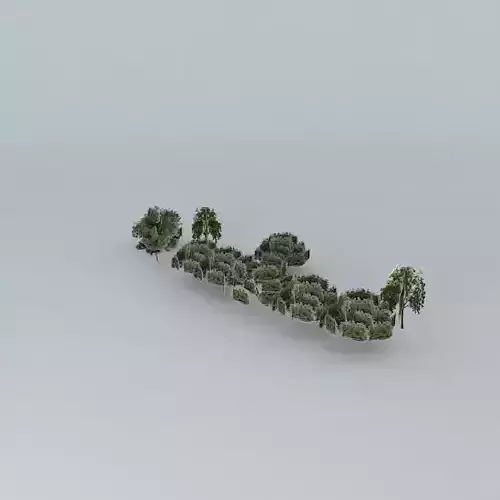 Trees street sao paulo