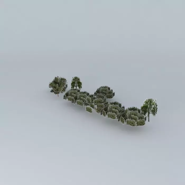 Trees street sao paulo Free 3D model_0