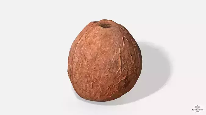 Exotic Fruit Coconut - Photoscanned PBR