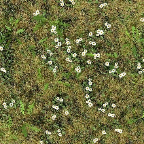 Daisy Meadow Patch 3D model