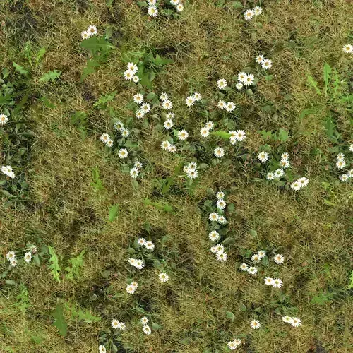 Daisy Meadow Patch 3D model