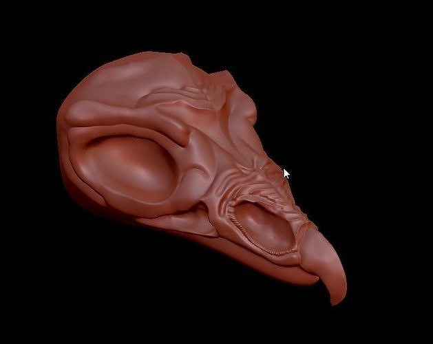 Bird Skull Pendant  3D print model