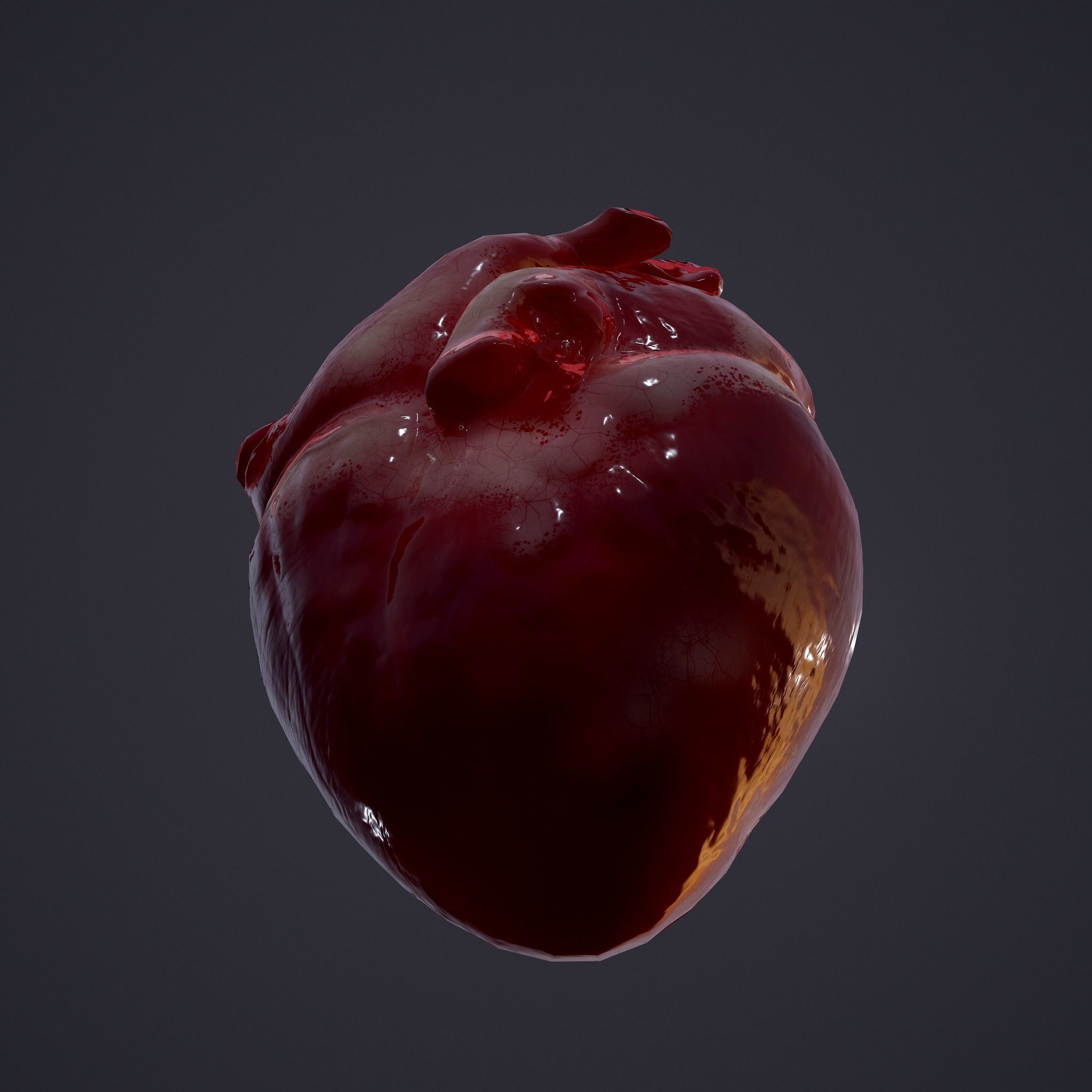 Human Heart Low-poly 3D model_17