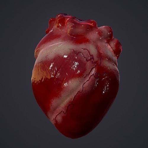 Human Heart Low-poly 3D model