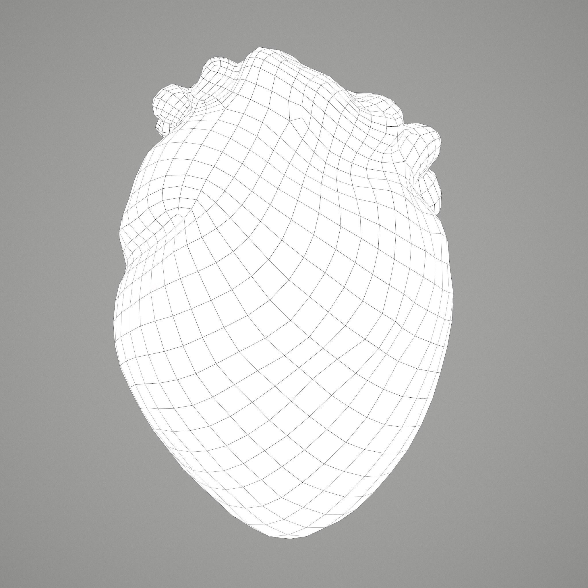 Human Heart Low-poly 3D model_28
