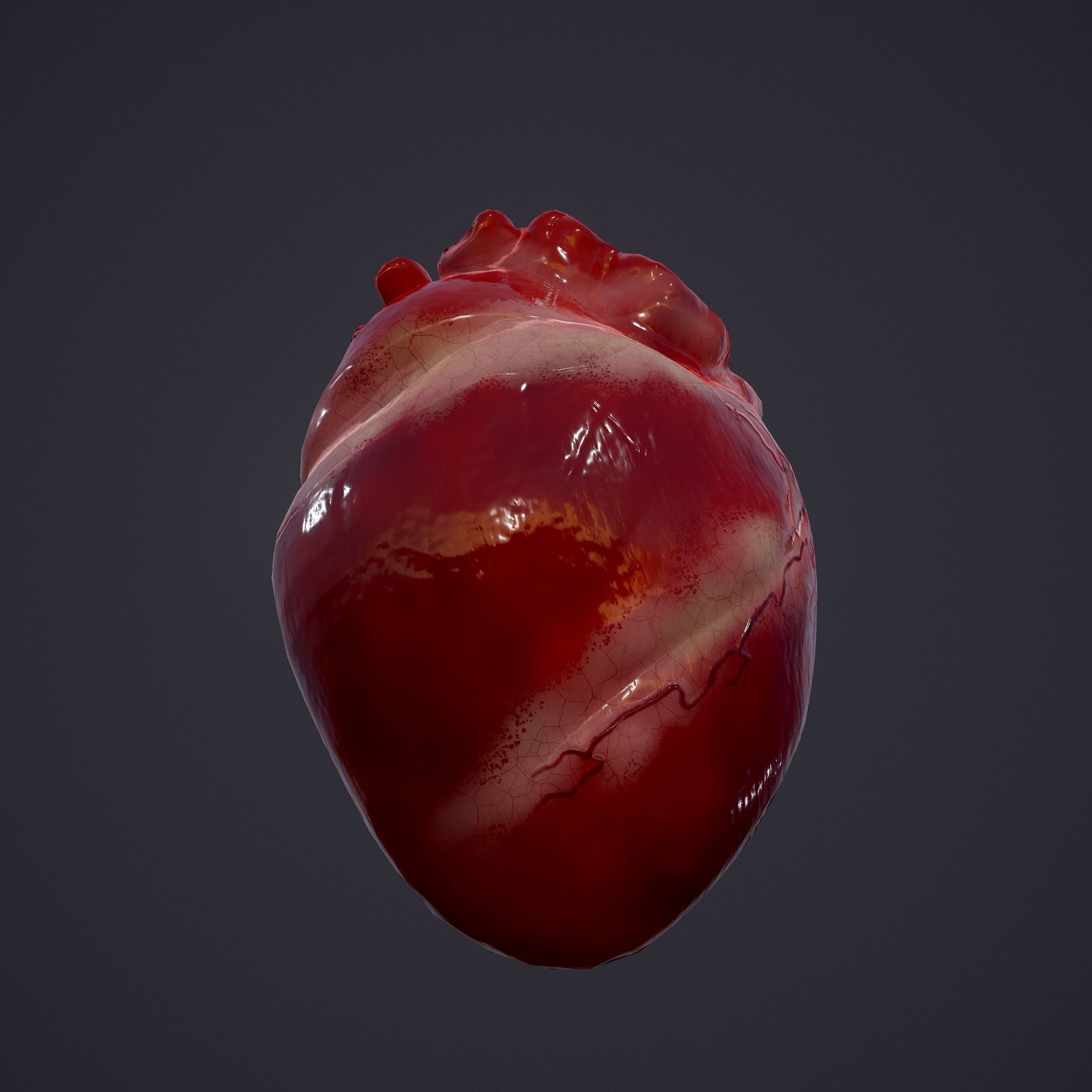 Human Heart Low-poly 3D model_20