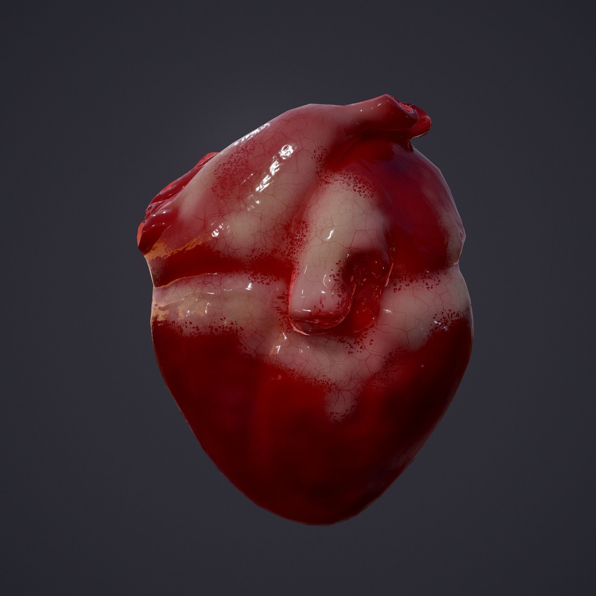 Human Heart Low-poly 3D model_7