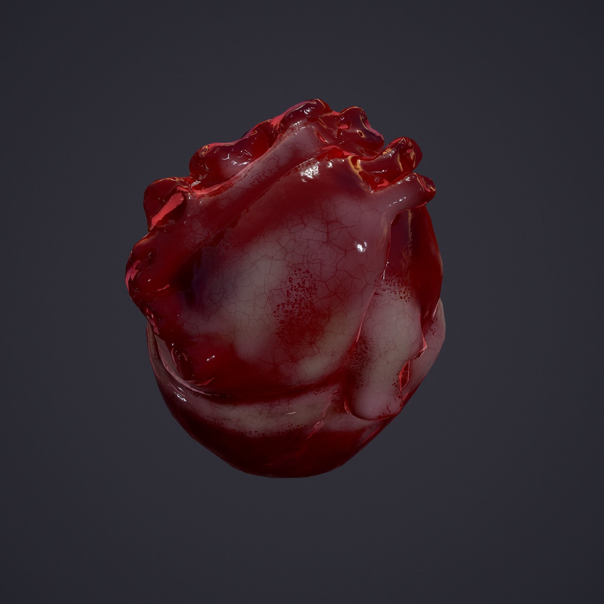 Human Heart Low-poly 3D model_18