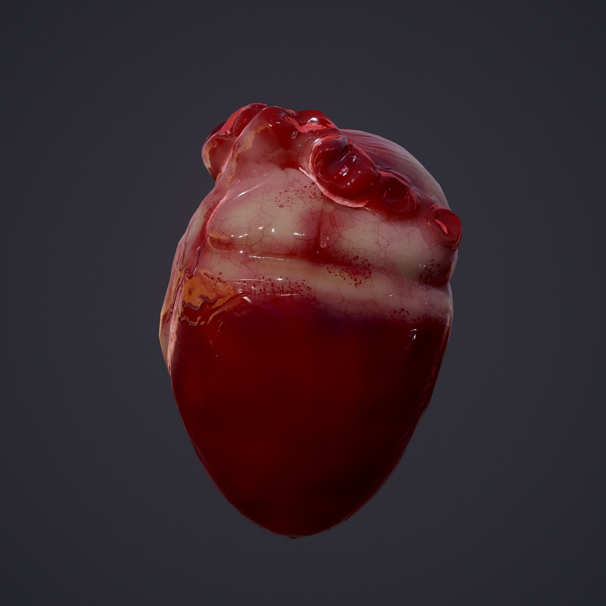 Human Heart Low-poly 3D model_10