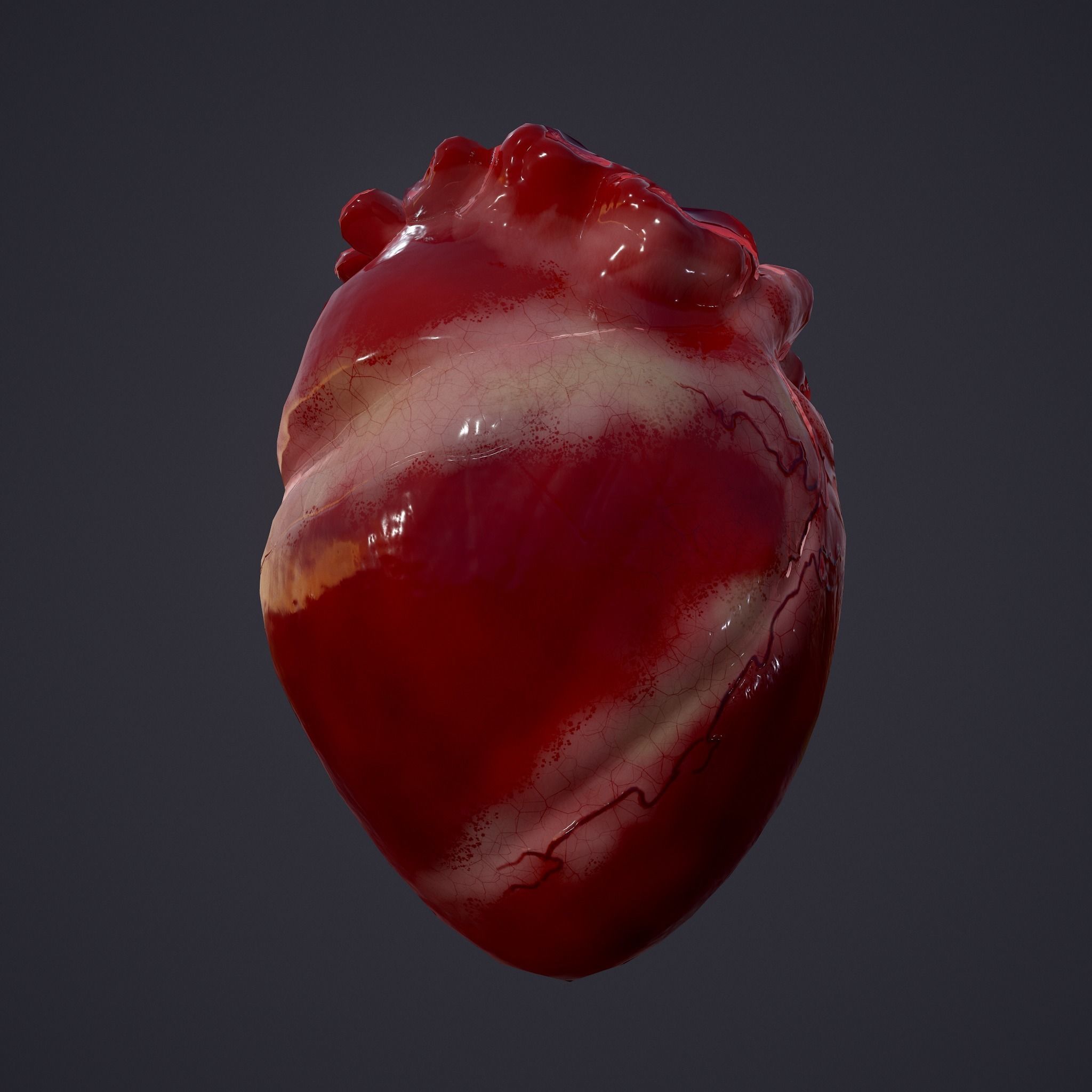 Human Heart Low-poly 3D model_3