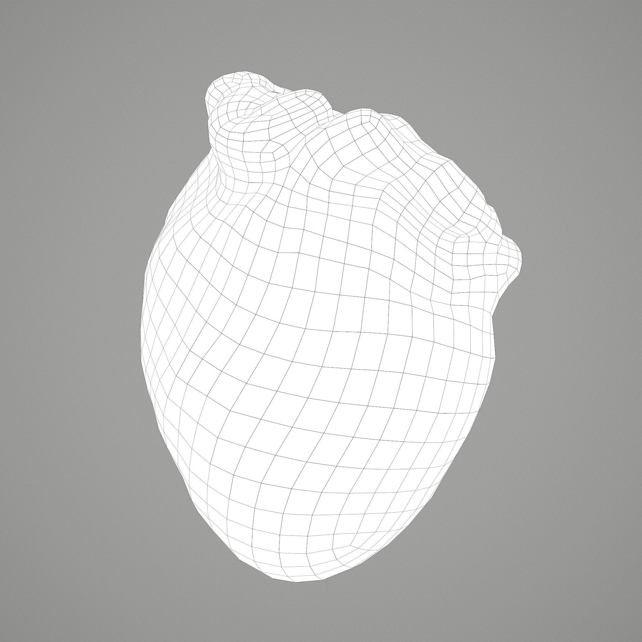 Human Heart Low-poly 3D model_36