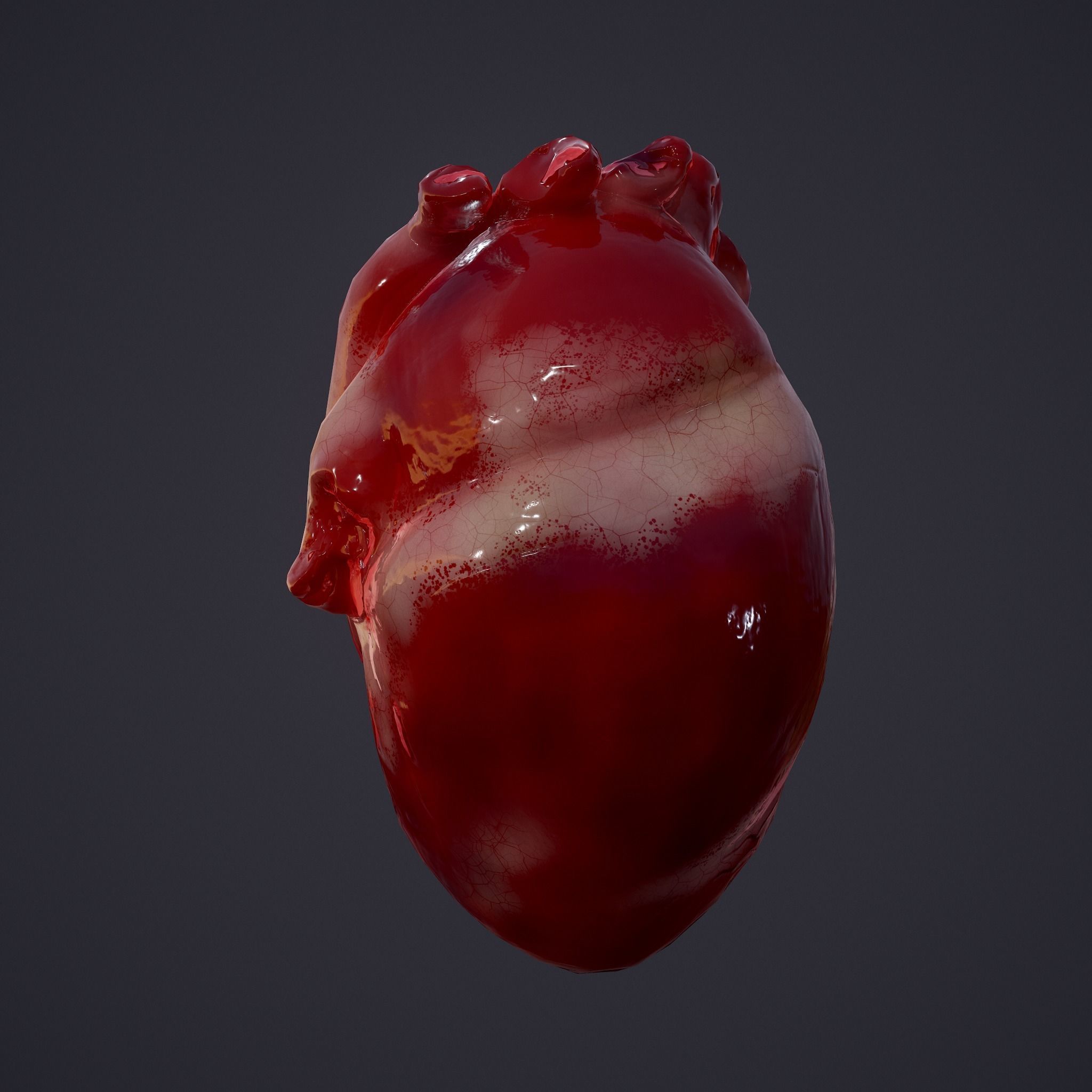 Human Heart Low-poly 3D model_5