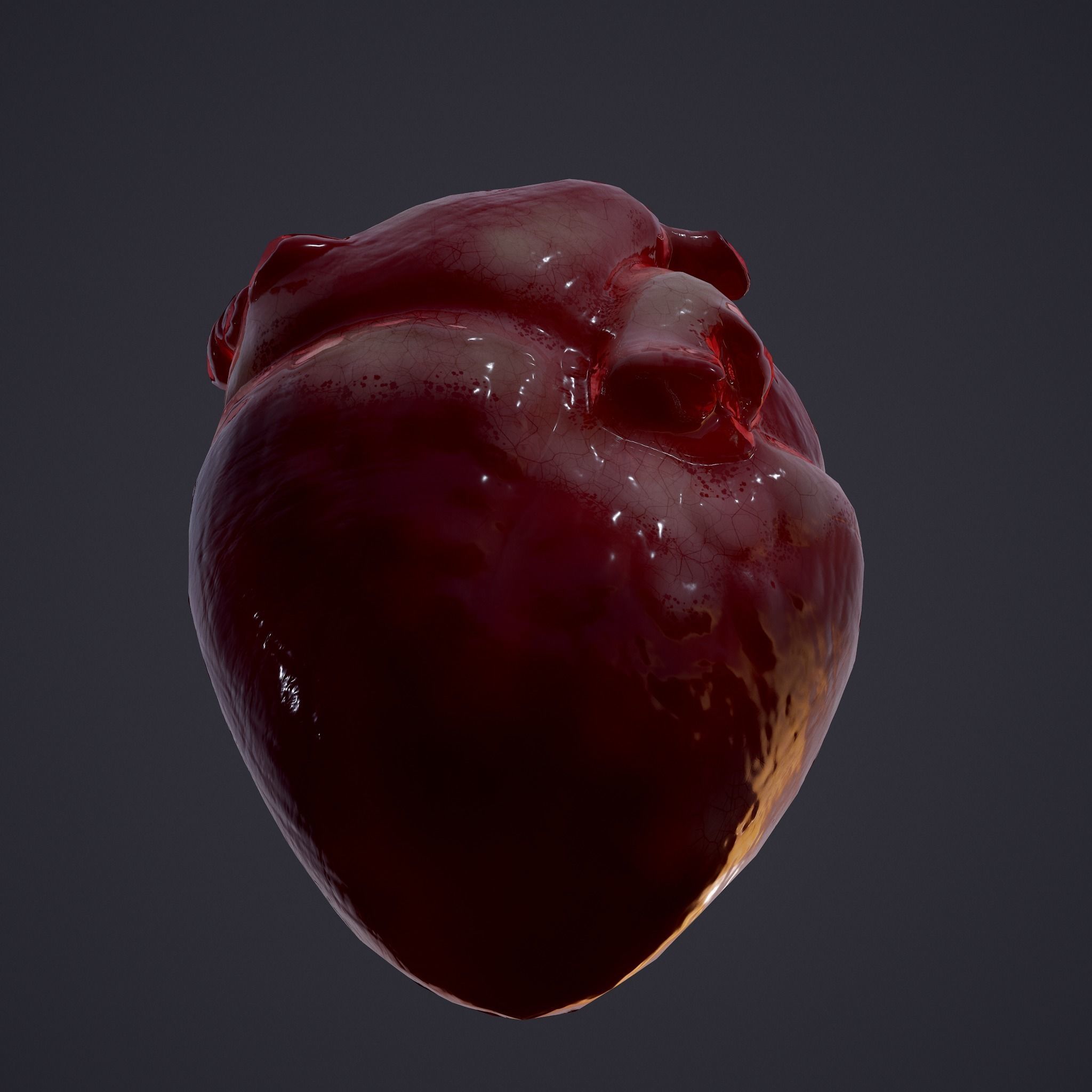 Human Heart Low-poly 3D model_25