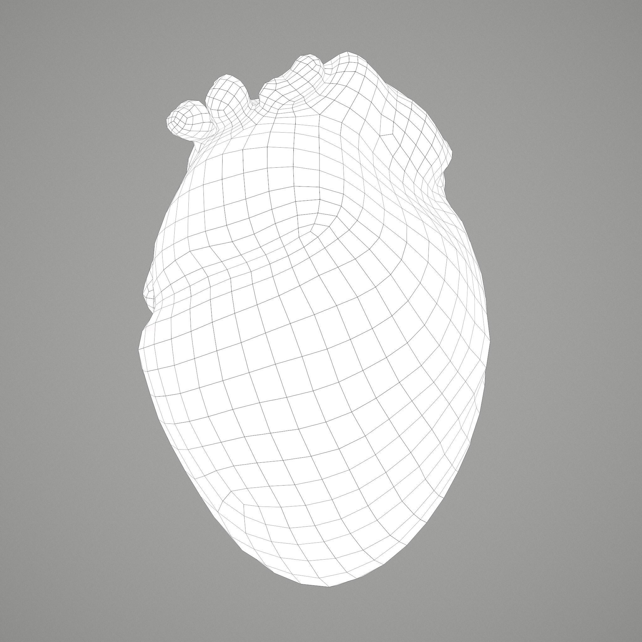 Human Heart Low-poly 3D model_29