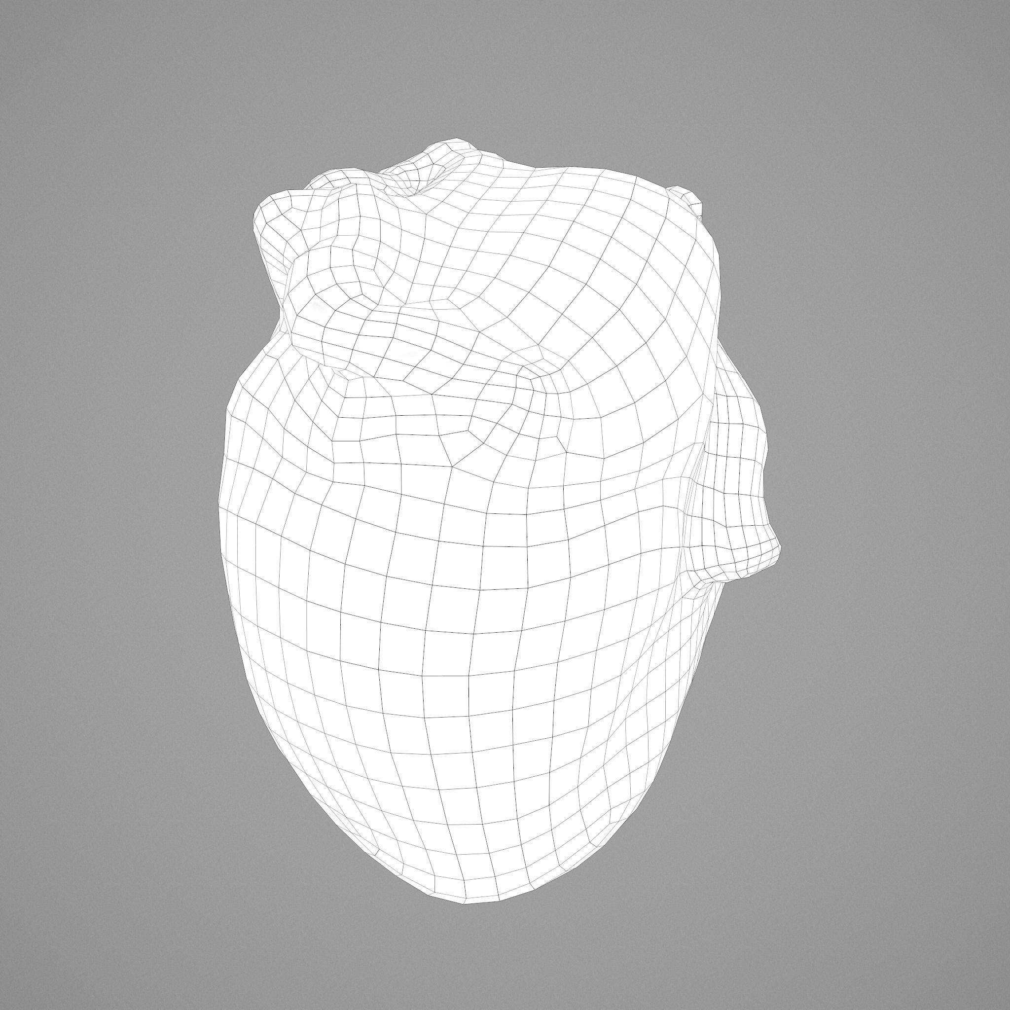 Human Heart Low-poly 3D model_34