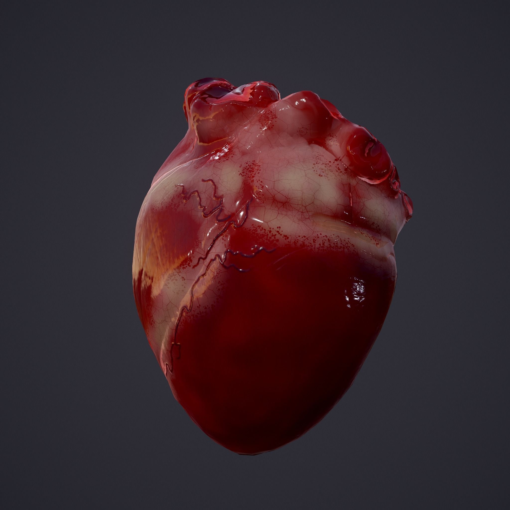 Human Heart Low-poly 3D model_2