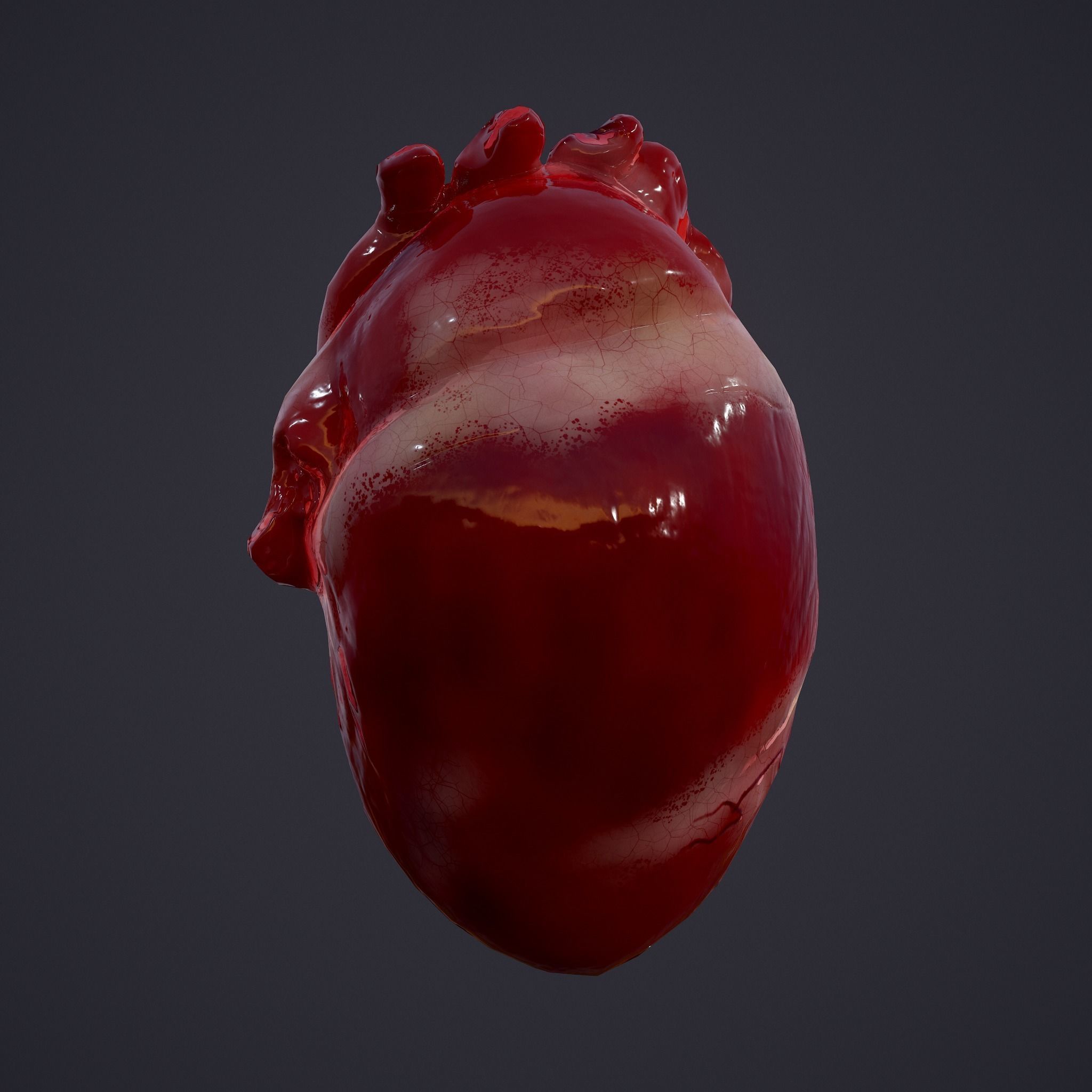 Human Heart Low-poly 3D model_13