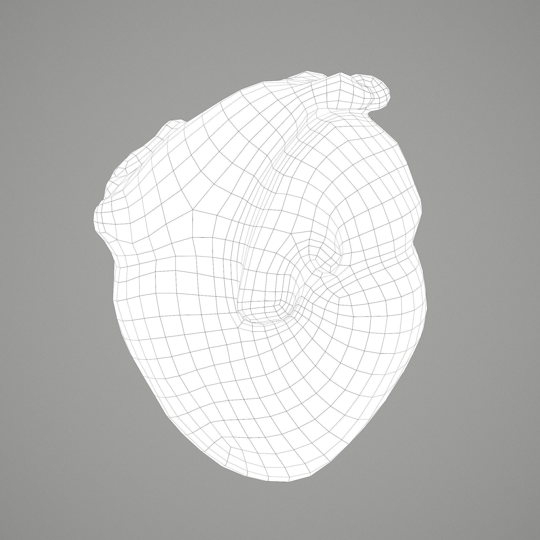 Human Heart Low-poly 3D model_32