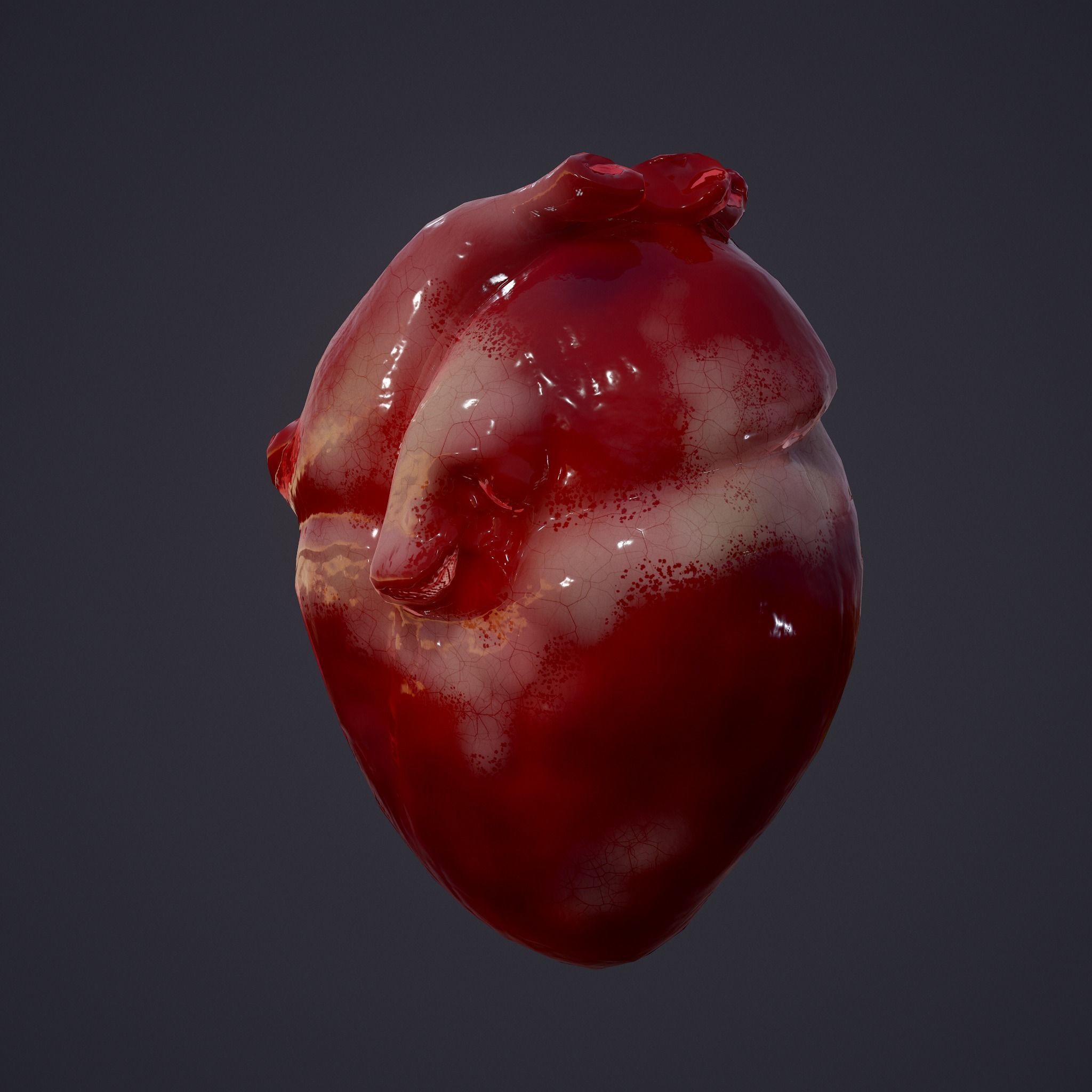 Human Heart Low-poly 3D model_6