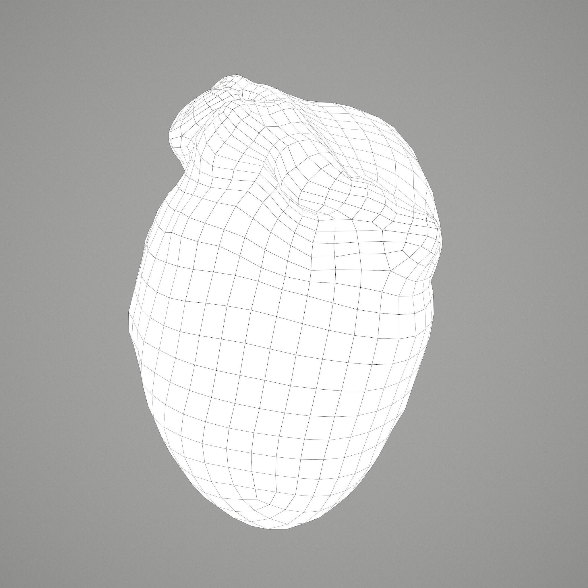 Human Heart Low-poly 3D model_35