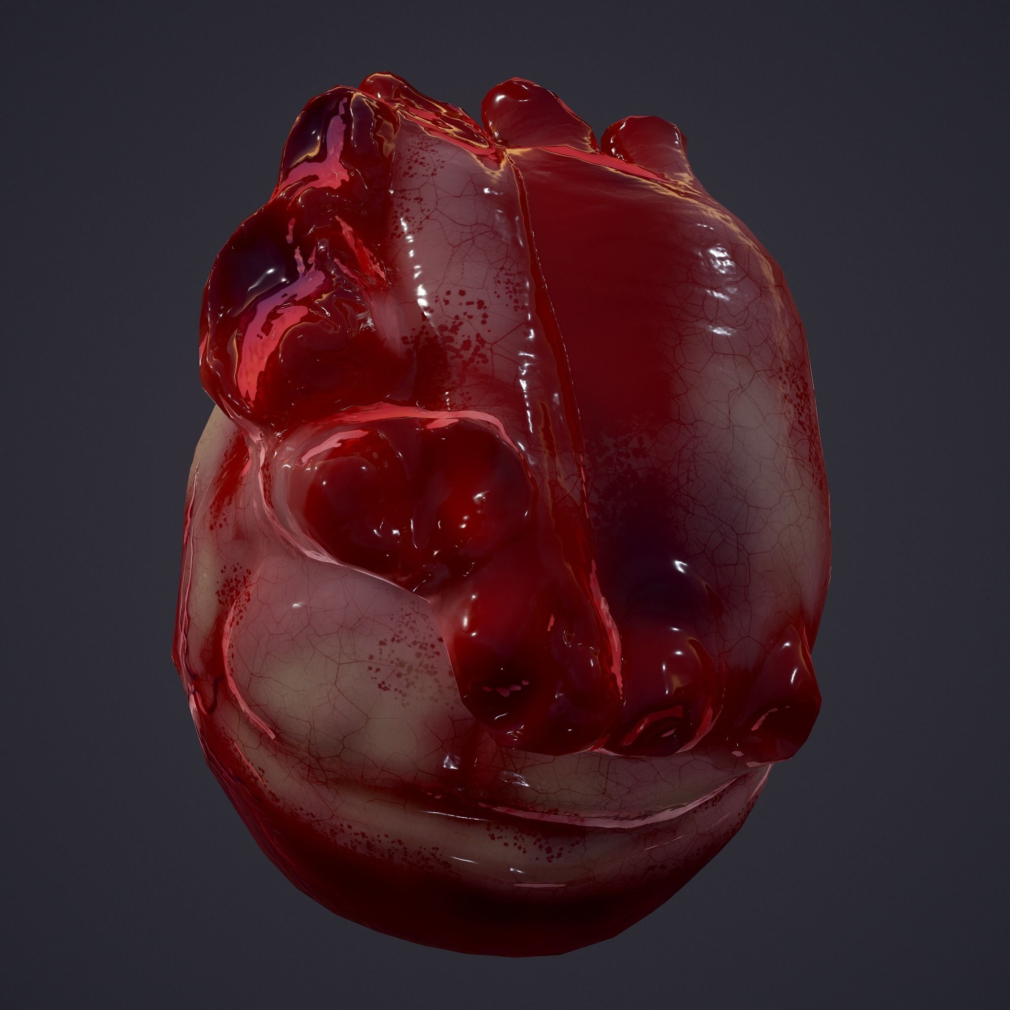 Human Heart Low-poly 3D model_22