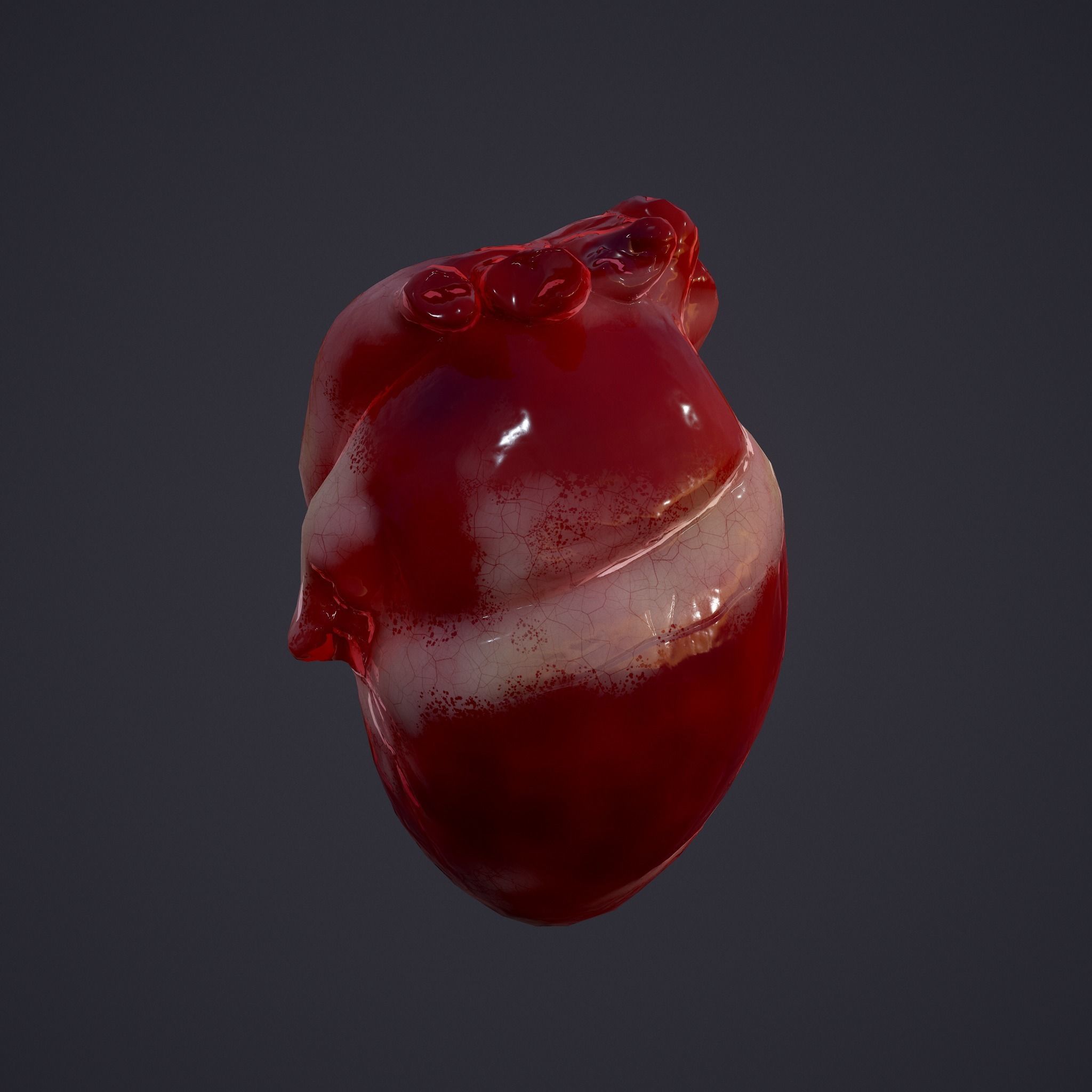 Human Heart Low-poly 3D model_19