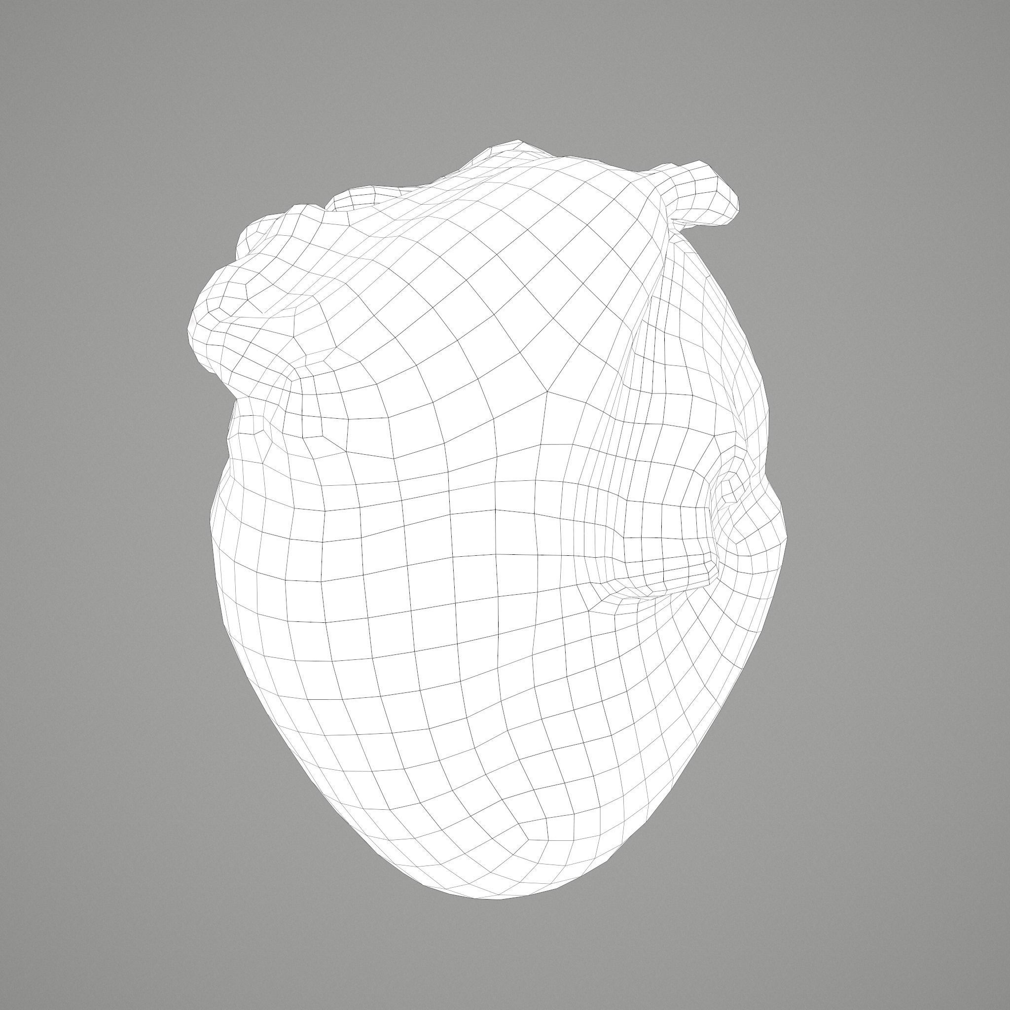 Human Heart Low-poly 3D model_33