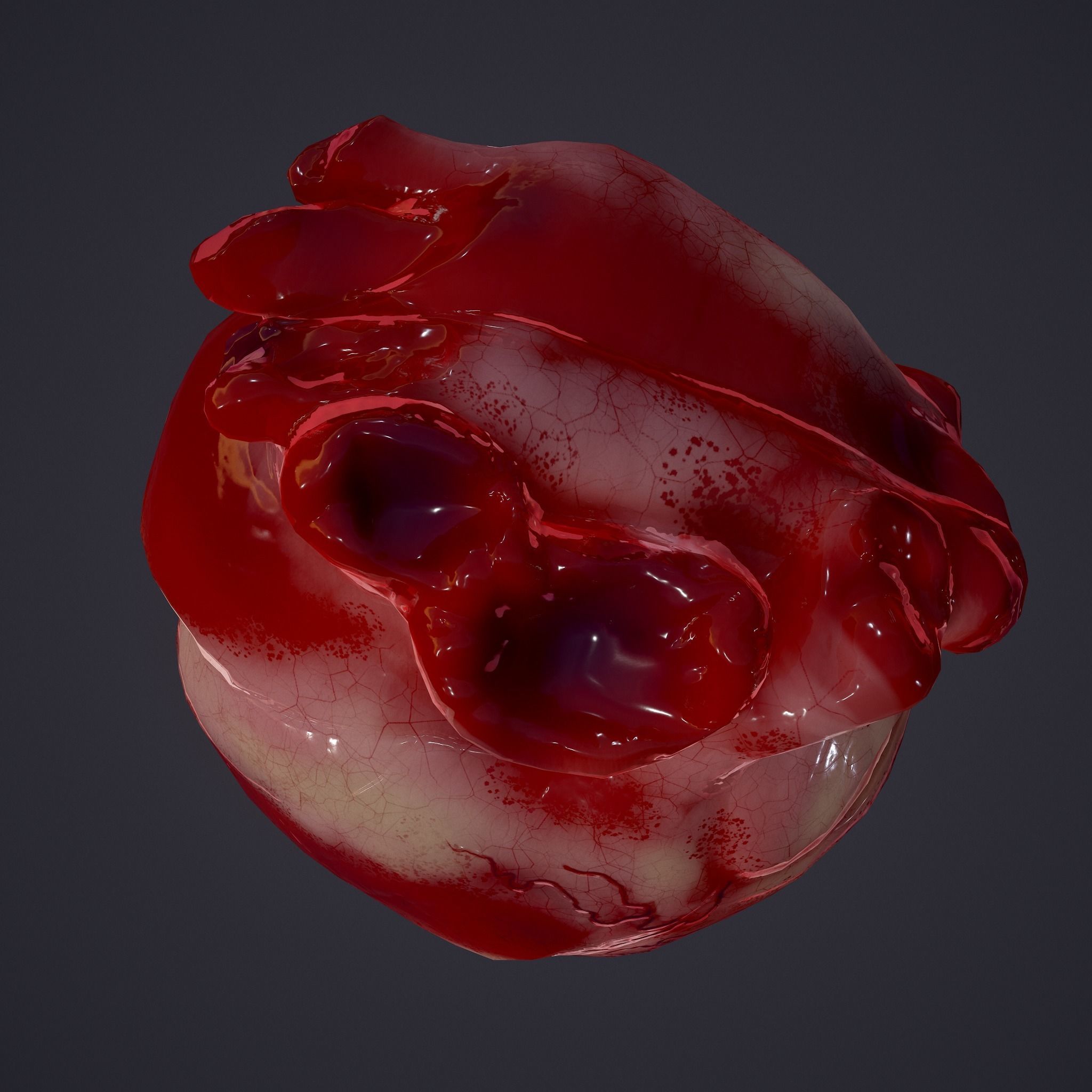 Human Heart Low-poly 3D model_21