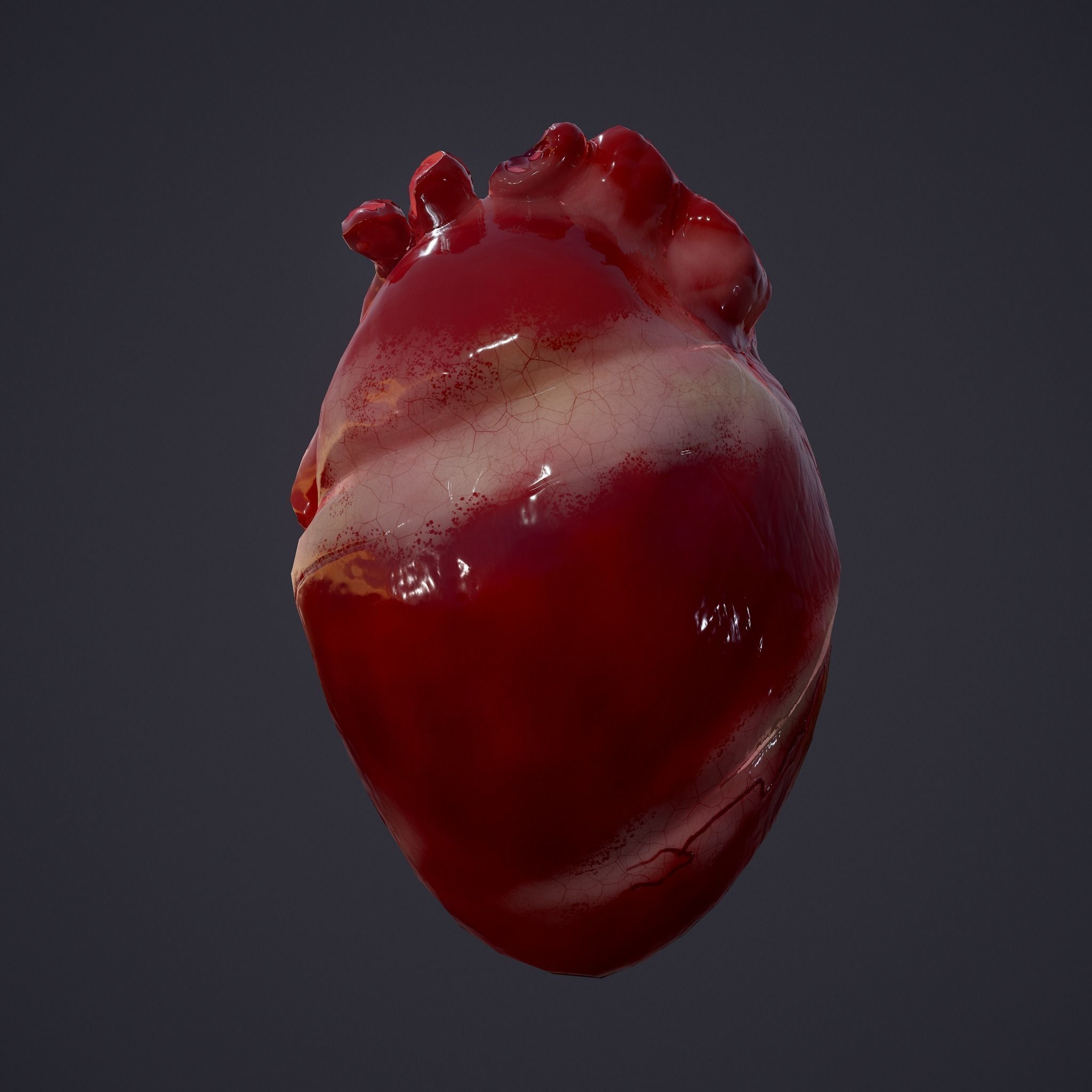Human Heart Low-poly 3D model_4